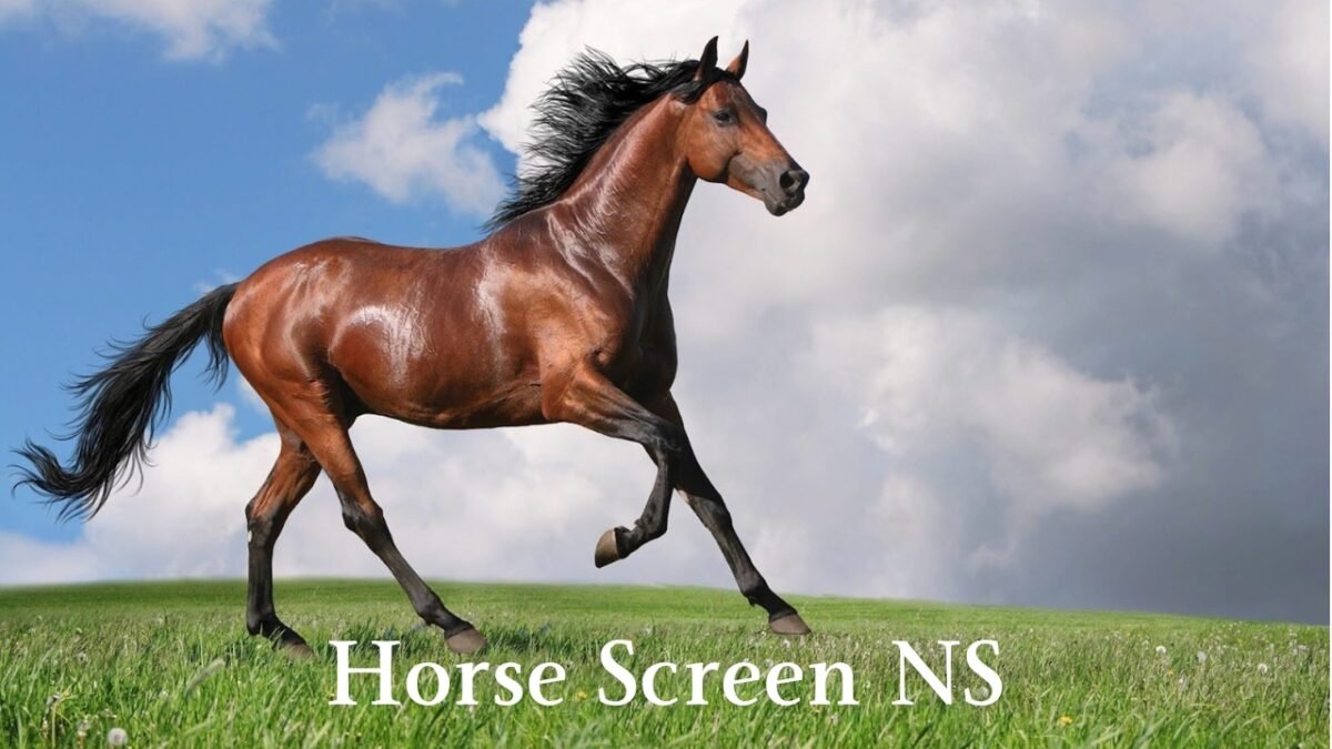 Horse Screen NS