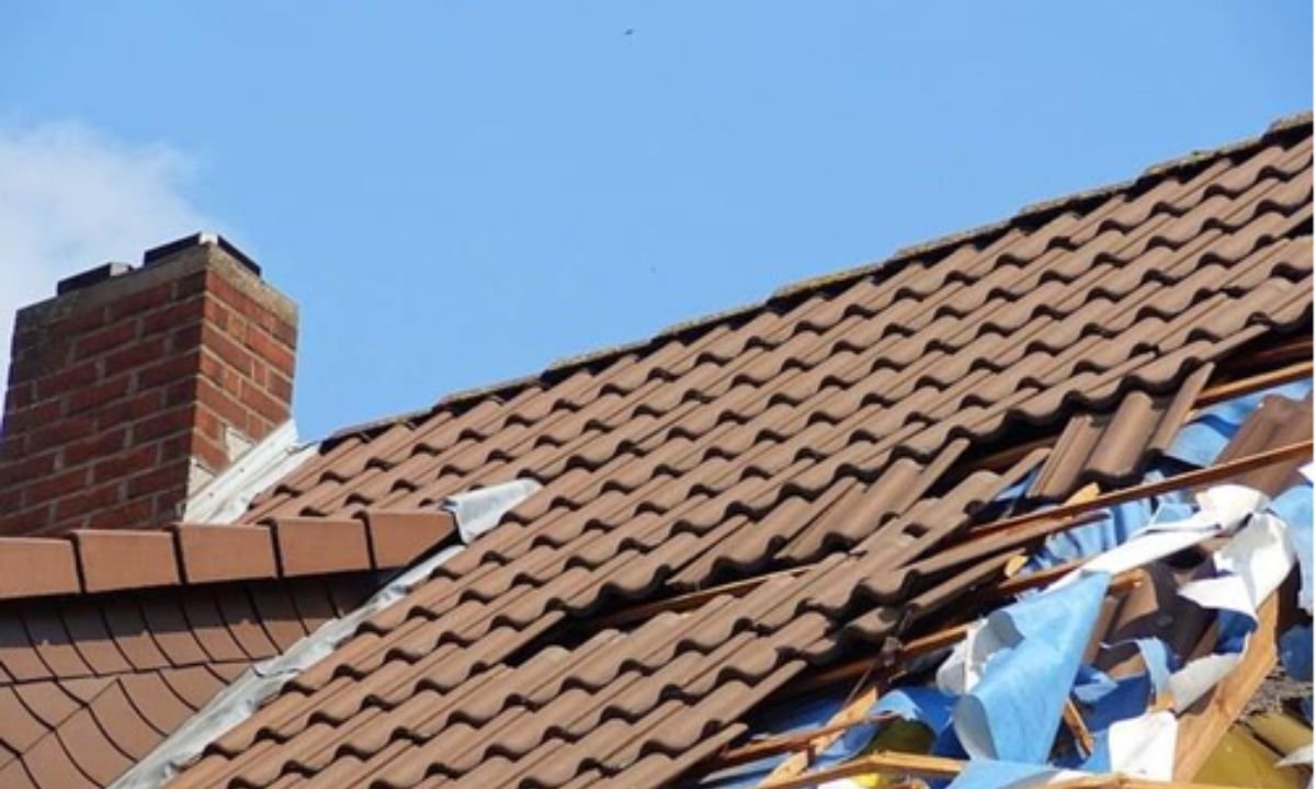 Warning Signs Your Roof