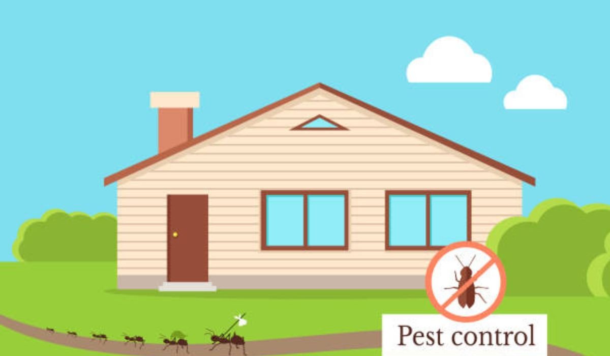 Creating a Pest-Free Home